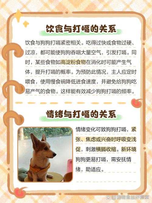 狗狗为什么会打饱嗝