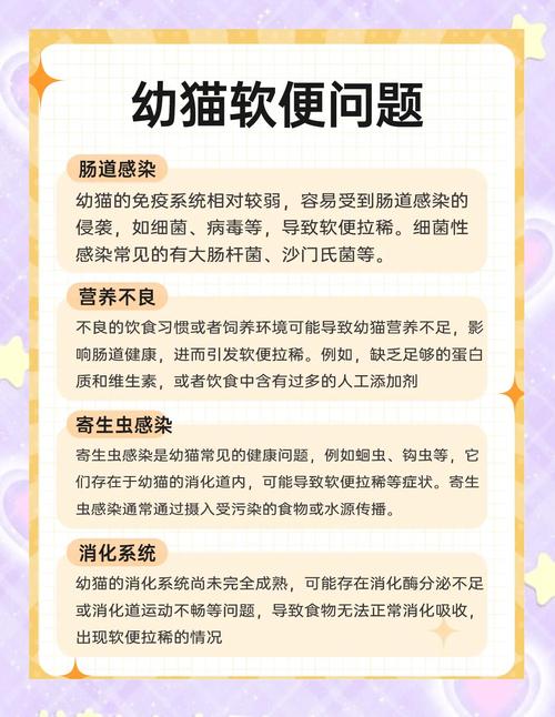 二个月的幼猫拉肚子怎么办