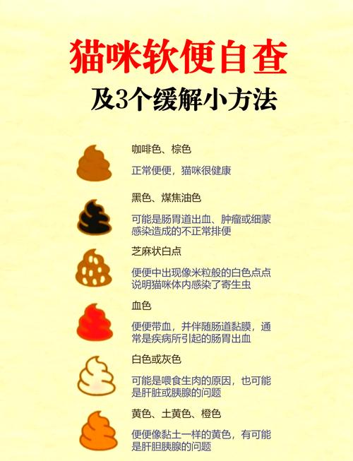 两个月幼猫拉稀怎么办