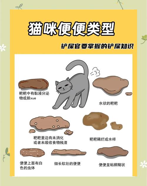 二个月小猫一天吃了三个蛋黄拉稀怎么办?