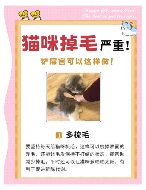 家中猫毛怎么处理?