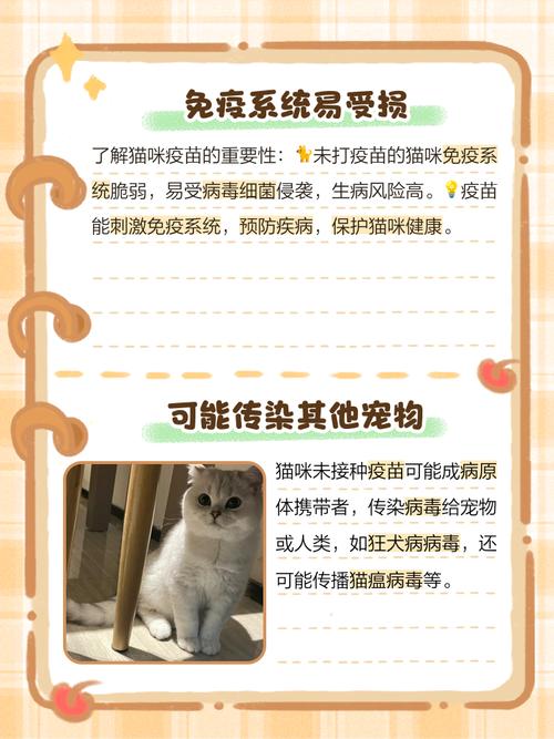 猫打不打疫苗有什么区别