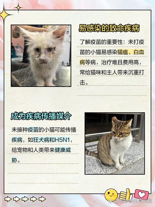如果猫不打针会怎么样