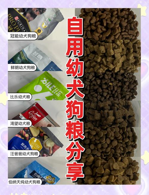 狗狗什么阶段吃什么狗粮?