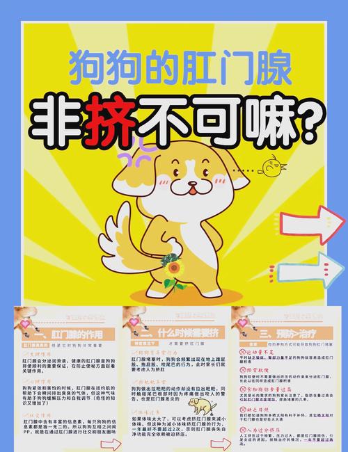 为什么狗狗肛门腺多