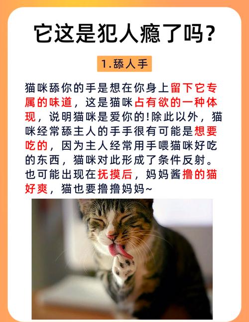 猫猫总舔嘴甩头是怎么回事?