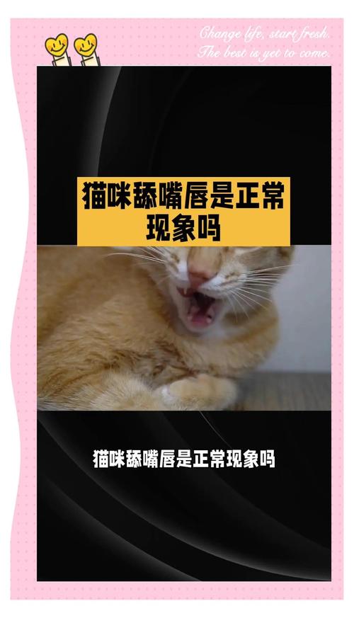 为什么家中的猫咪总是甩头?