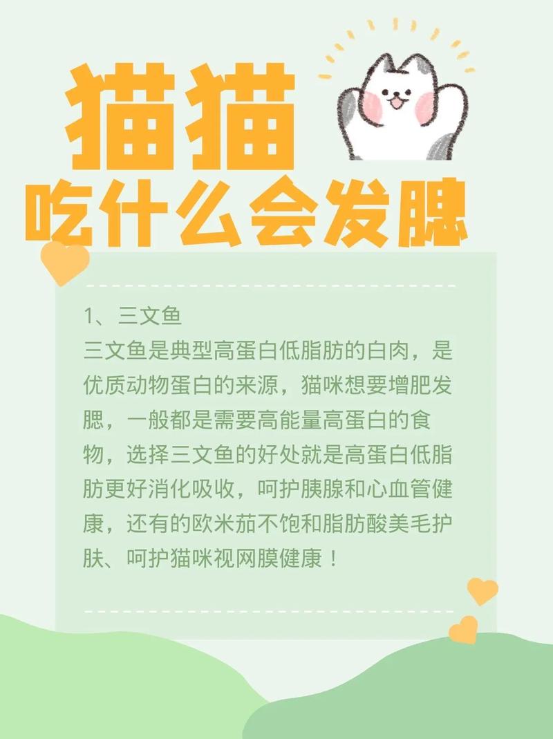 5个月的猫咪吃什么发腮?