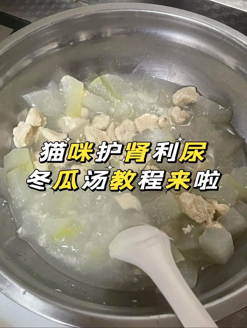猫咪鸡胸肉怎么煮