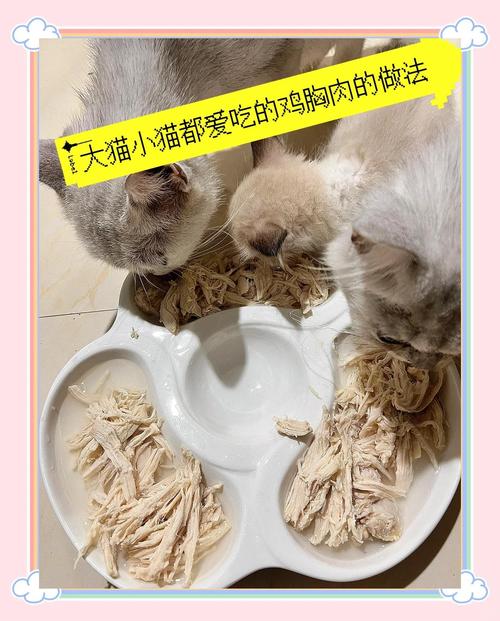 鸡胸肉怎么煮猫咪爱吃