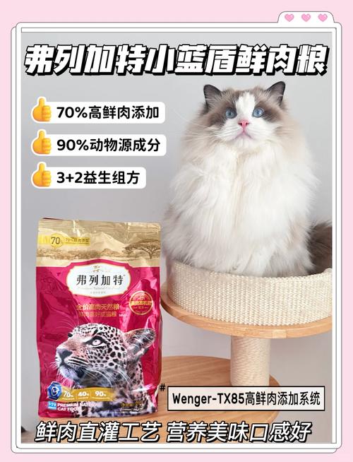 猫咪拉粑粑有血是怎么回事