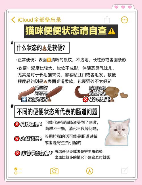 猫咪拉粑粑有血是怎么一回事