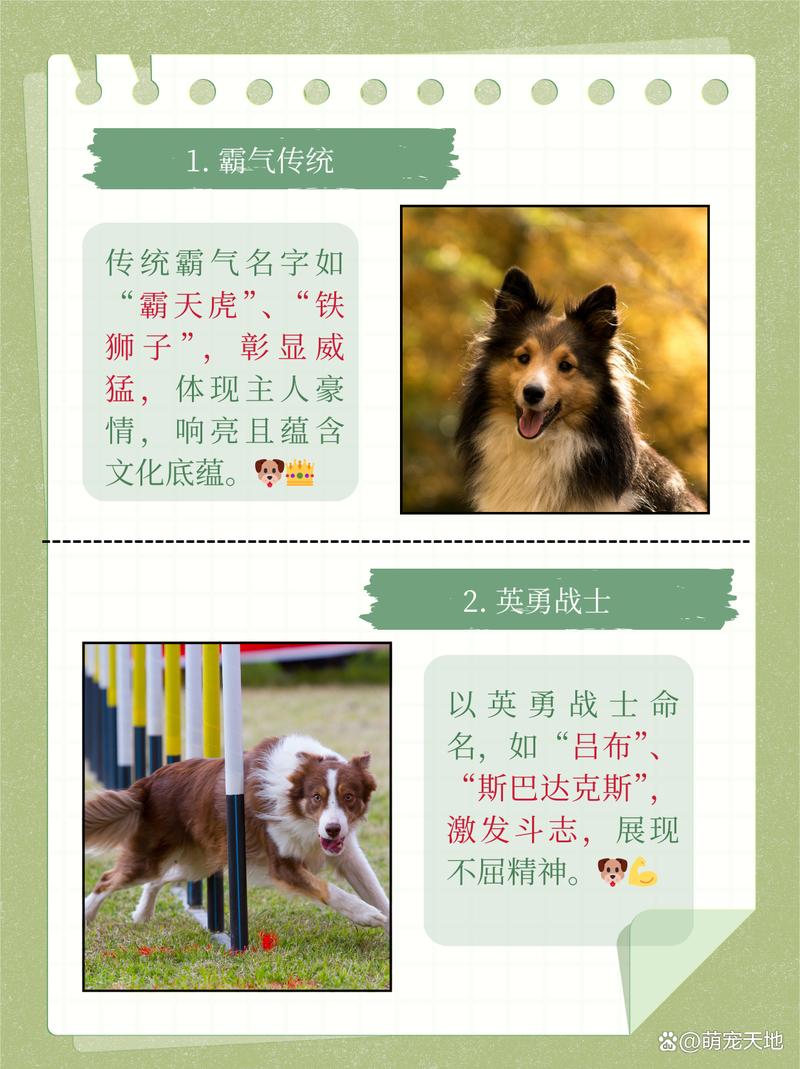 霸气又聚财的狗狗名字