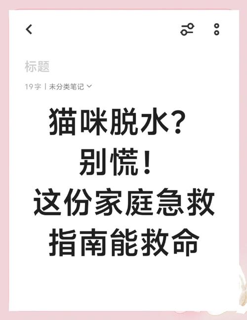 猫咪脱水怎么在家快速治疗