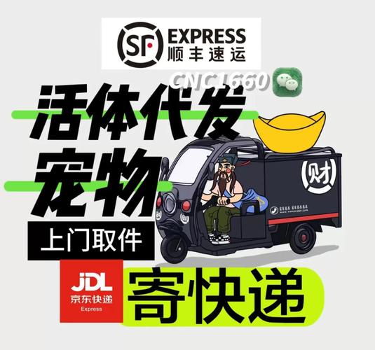 哪些快递可以发宠物