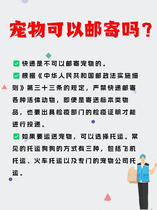 有什么快递或物流能寄狗狗?