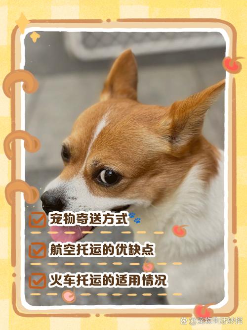 谁知道狗狗可以发什么快递或者物流呀?