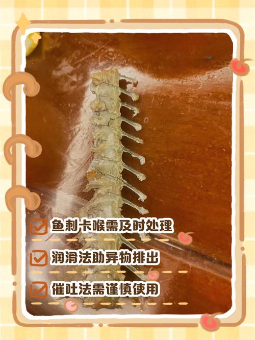 狗吃了鱼刺怎么办