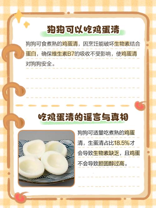 狗为什么不能吃鸡蛋清
