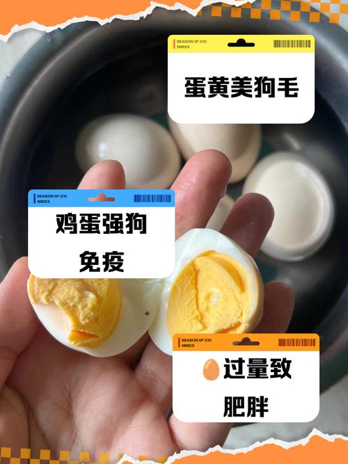 幼犬可以吃鸡蛋吗