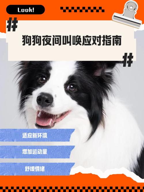 狗狗老是半夜叫怎么办啊