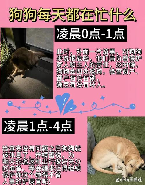 没有睁眼的小奶猫能养活吗?