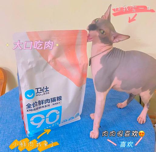 斯芬克斯猫最爱吃的10种食物清单