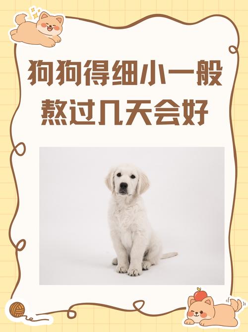 狗狗得了细小可以吃东西吗