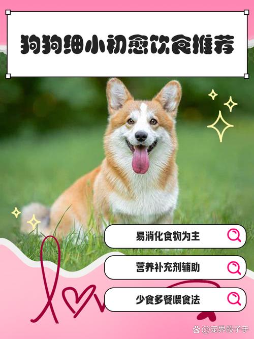 狗狗得了细小能喝水吗