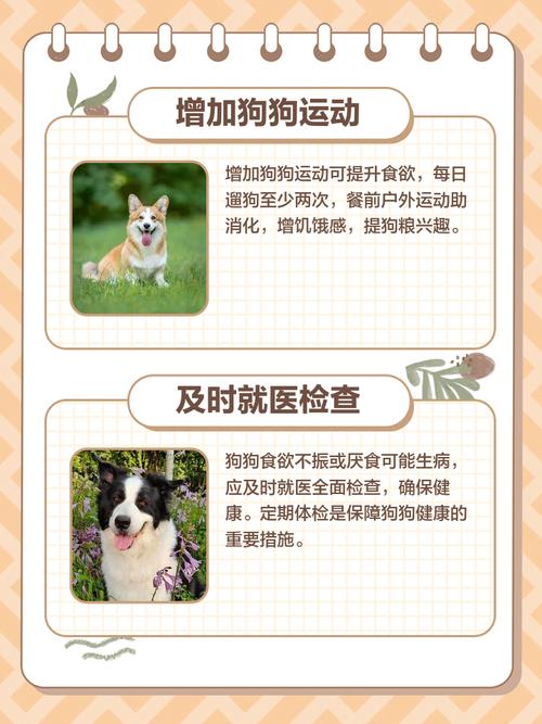 不给狗吃狗粮可以吗