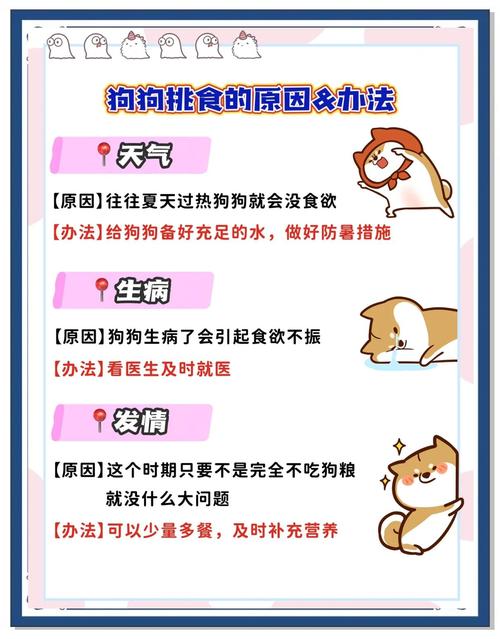 狗狗不吃狗粮可以吗