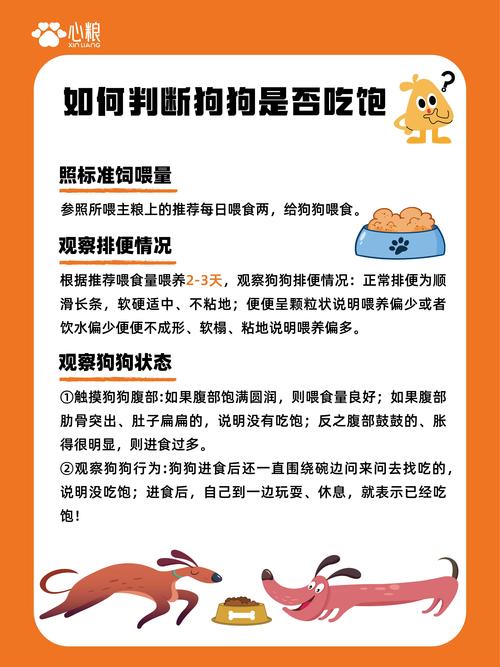 宠物狗不吃狗粮可以吗