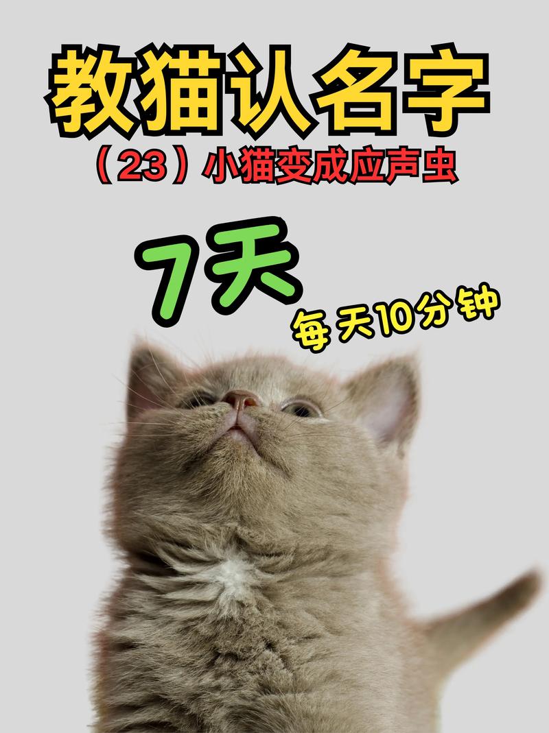 为什么猫咪知道他的名字