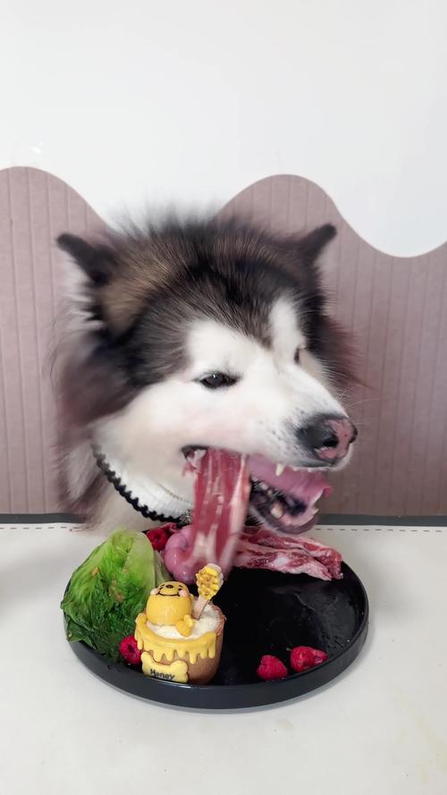 狗狗吃了生蔬菜会怎么样?