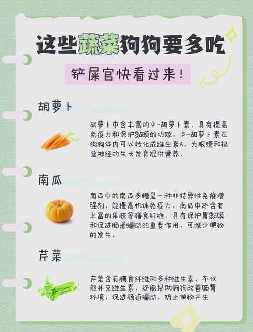 狗狗吃蔬菜要煮熟吗