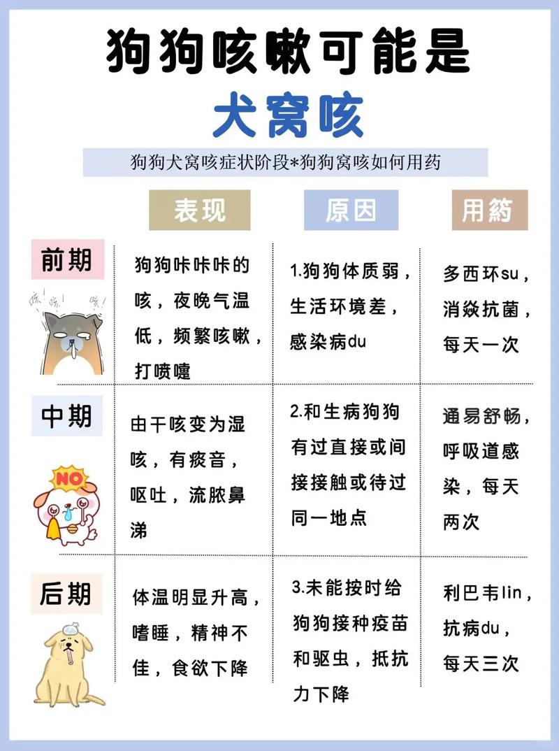 狗狗感冒的7大症状!