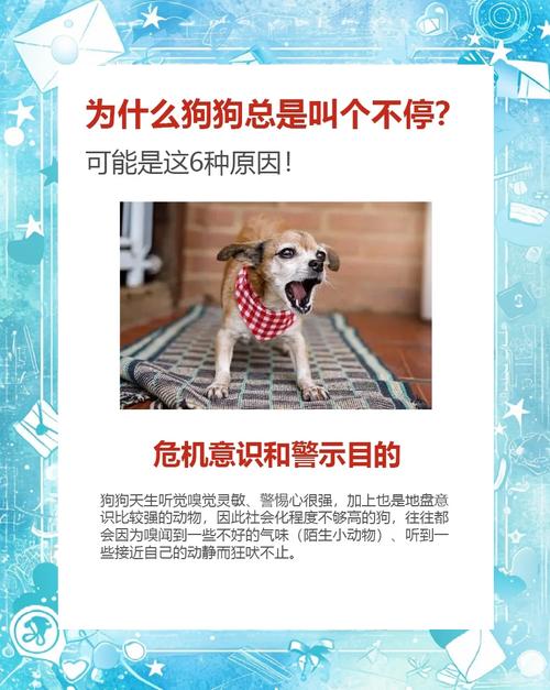 狗为什么会吠叫