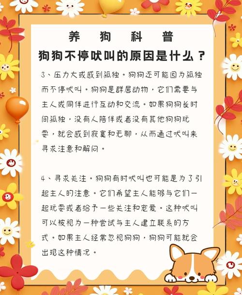 引起狗狗吠叫的因素有哪些?
