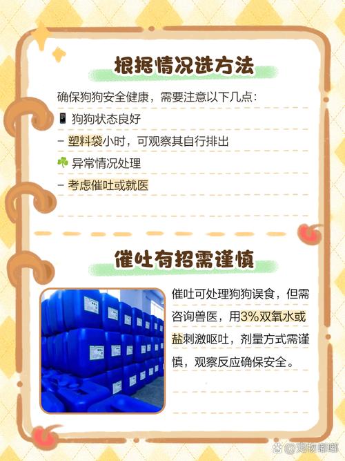 狗狗吃塑料袋了,怎么办,很大。一天了还没有拍出来?