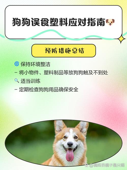 狗狗吃了塑料怎么办?