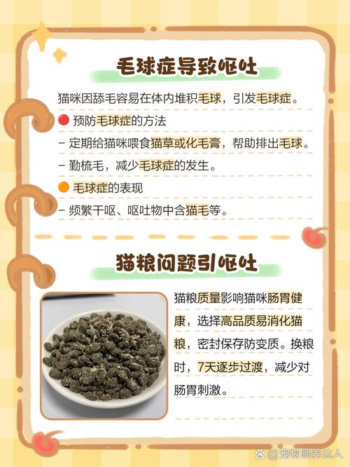 猫吃完猫粮后发生呕吐这一情况是因为啥