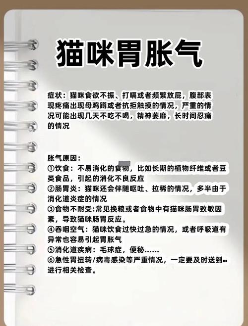 猫涨肚如何排气