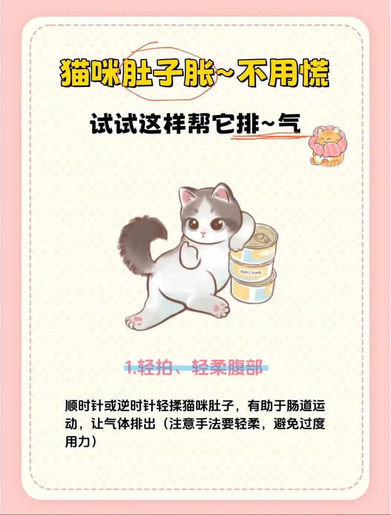 猫涨肚如何排气?