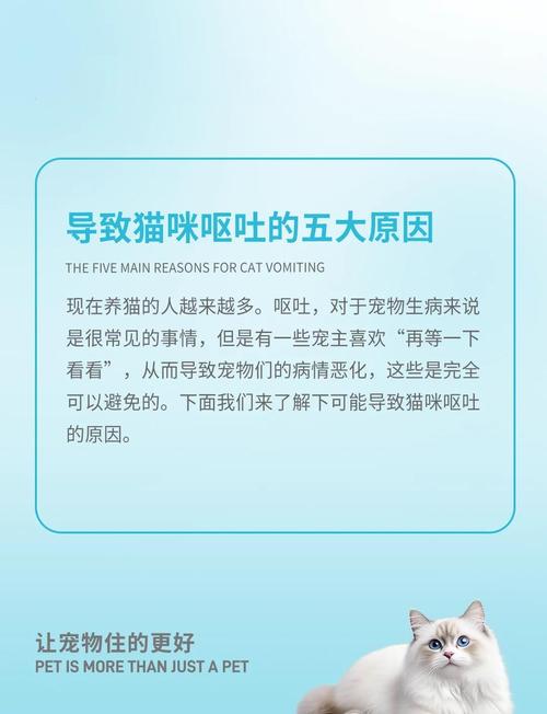 猫猫一天吐了六七回吃东西就吐怎么办?
