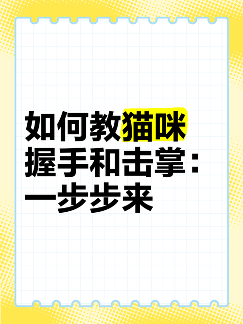 如何训练孟买猫跟主人握手?