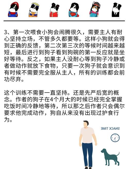 怎么训练狗狗卧下