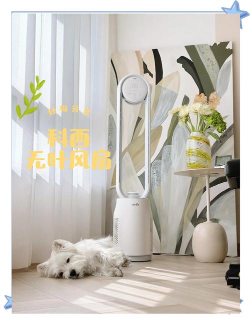 狗能吹电风扇吗夏天