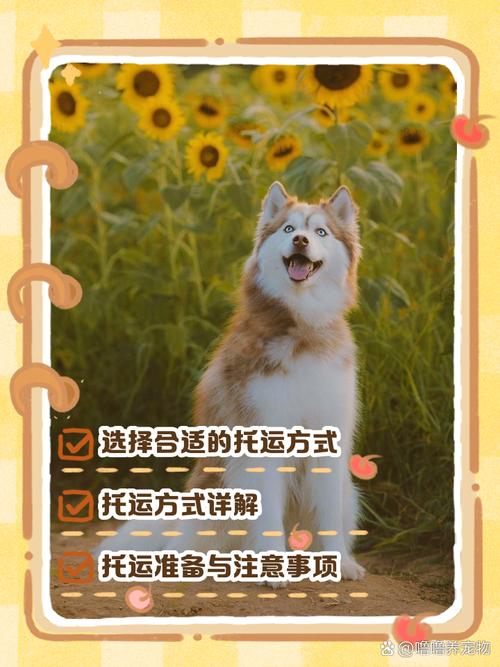 火车托运狗狗多少钱