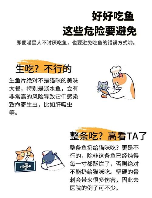 猫咪不吃鱼怎么办?
