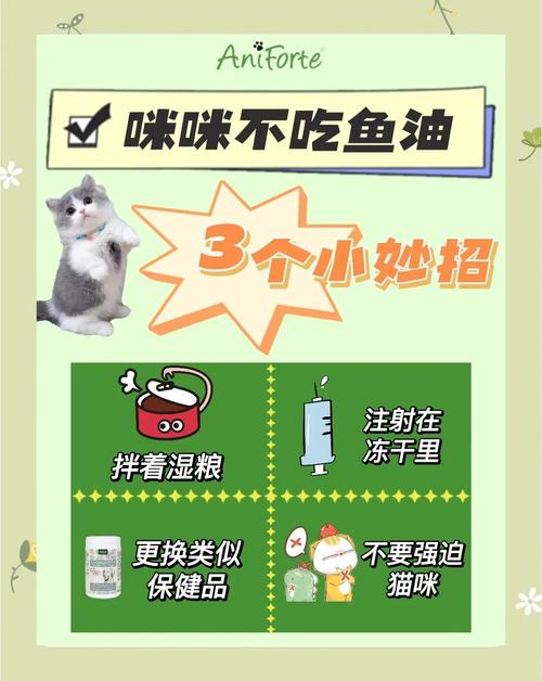 猫不吃鱼怎么办